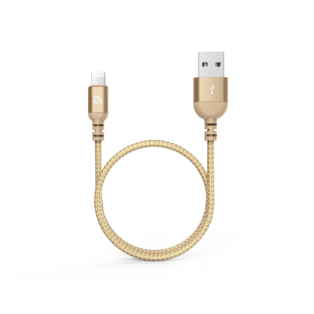 CASA HUB Pro Max USB-C 3.1 Gen 2 & 4K60Hz 13-in-1 Hub + Apple MFi-Certified USB-A to Lightning Cable 3.9 FT